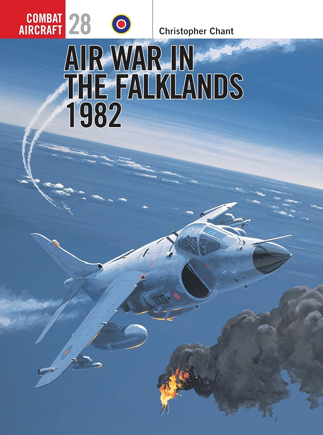 Air War in the Falklands